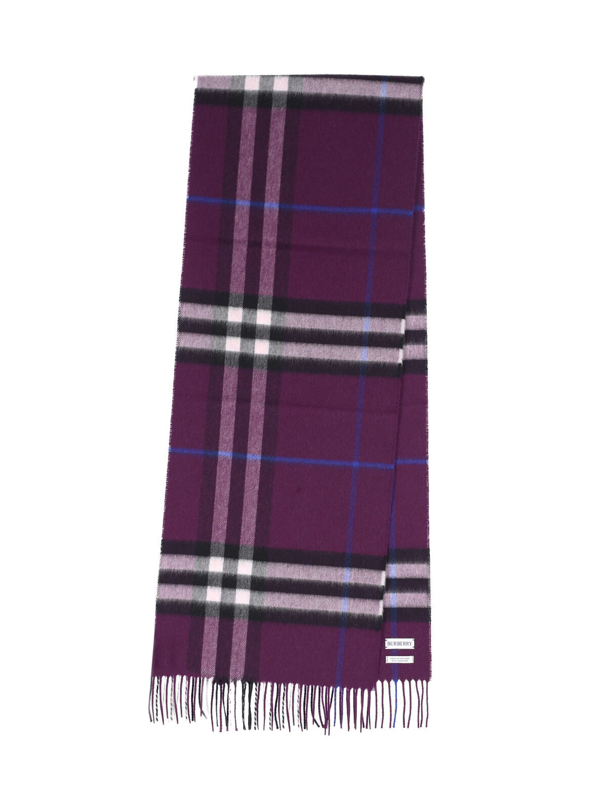 Burberry Scarfs