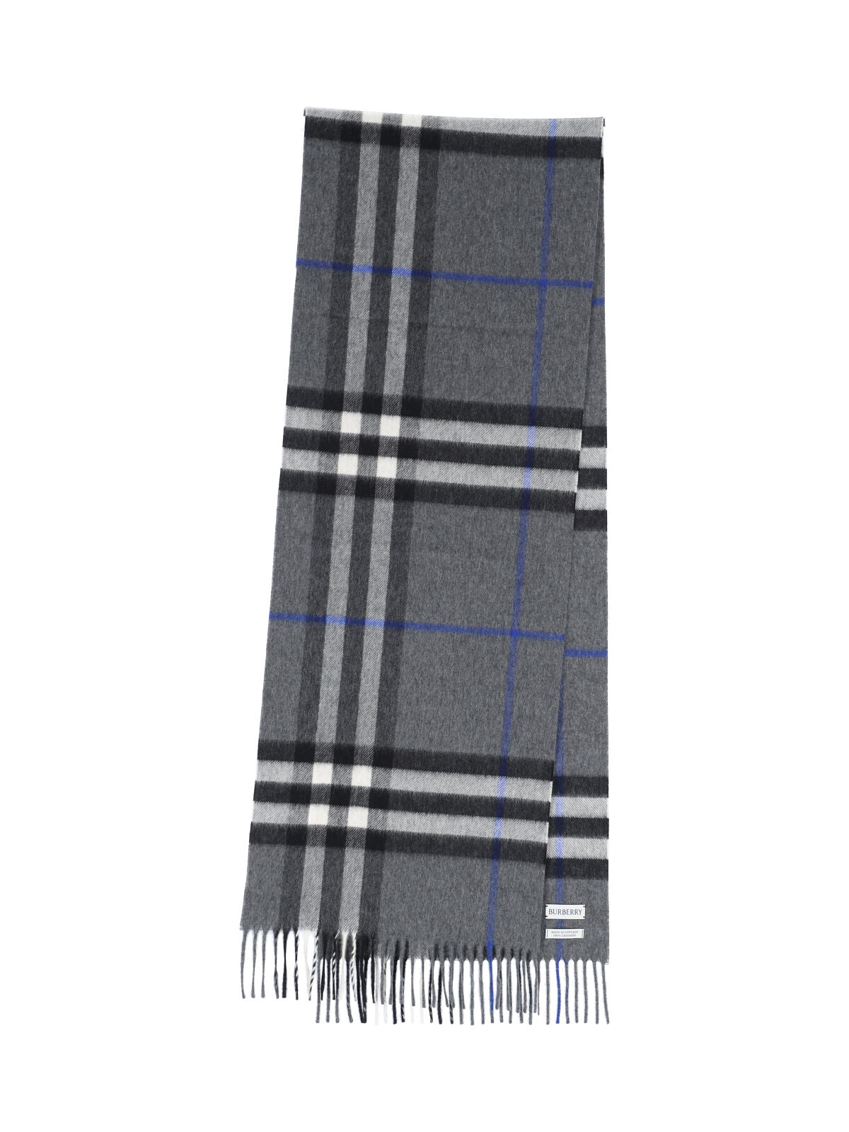 Burberry Scarfs